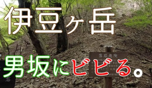 【動画を更新しました】伊豆ケ岳の男坂にビビる。【埼玉の山】